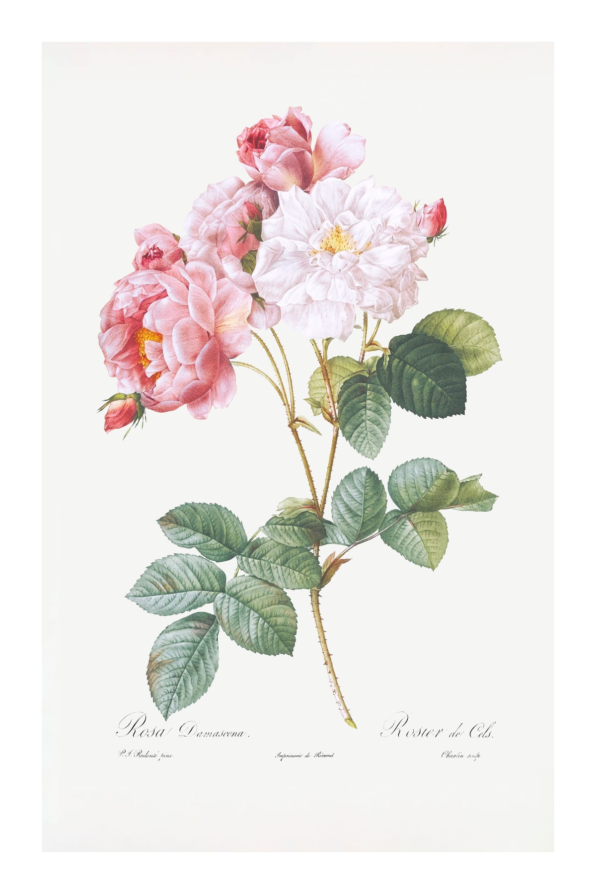variant-60x90_with-margin