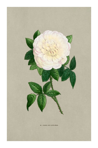 variant-60x90_with-margin