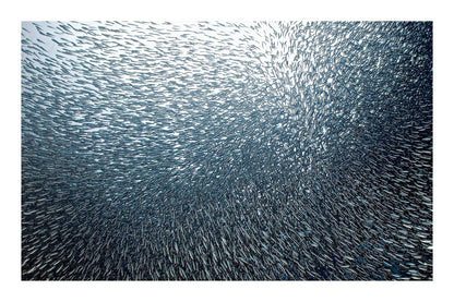 variant-60x90_with-margin