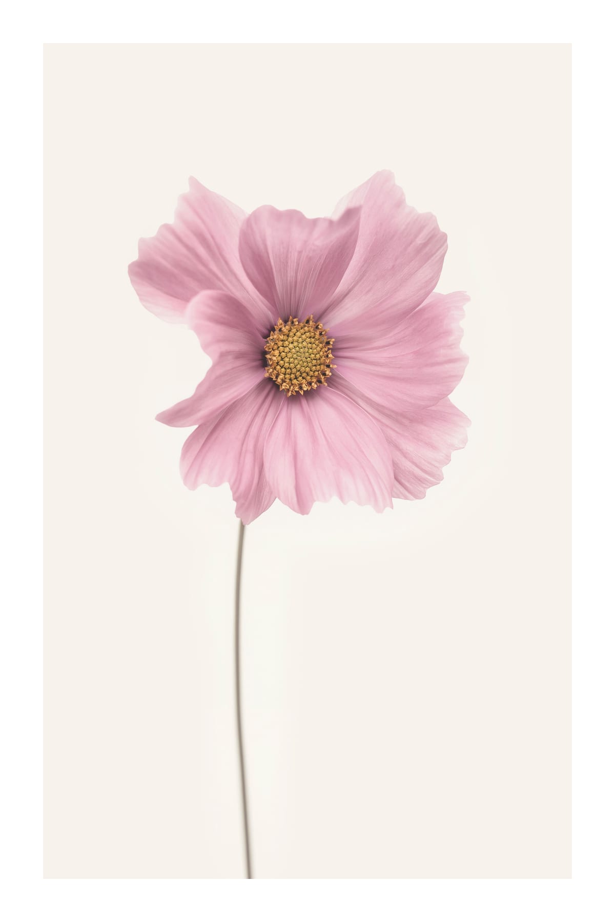 variant-60x90_with-margin