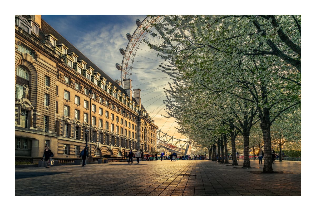 variant-60x90_with-margin