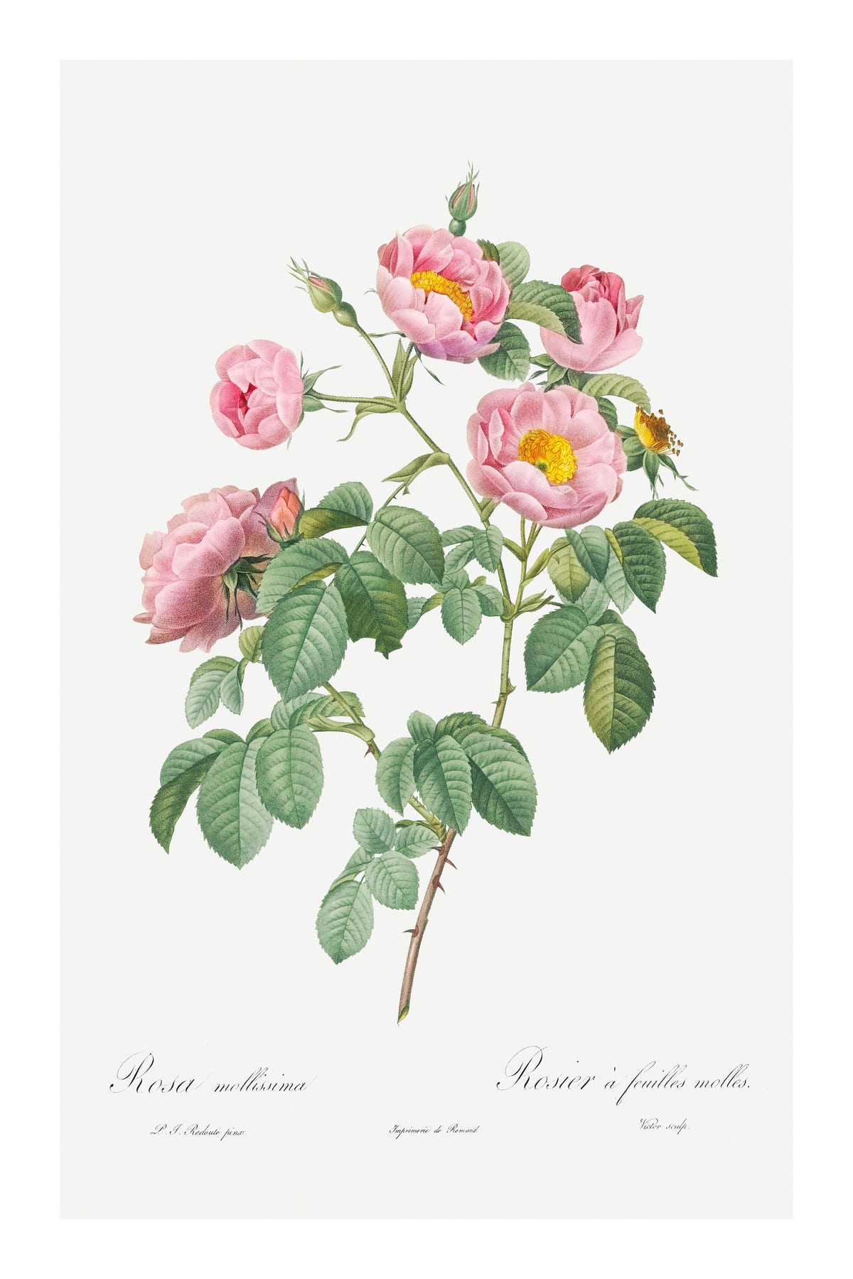 variant-60x90_with-margin