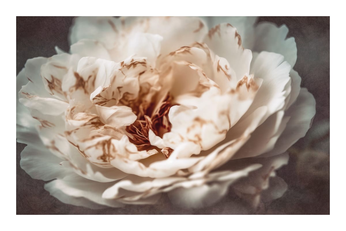 variant-60x90_with-margin