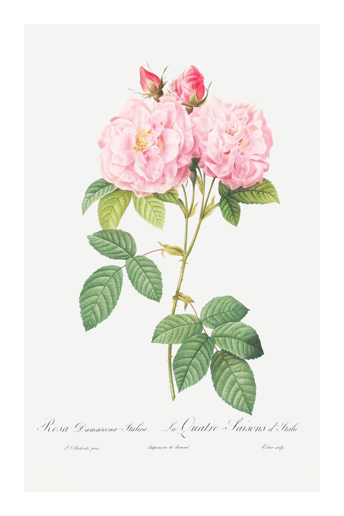 variant-60x90_with-margin