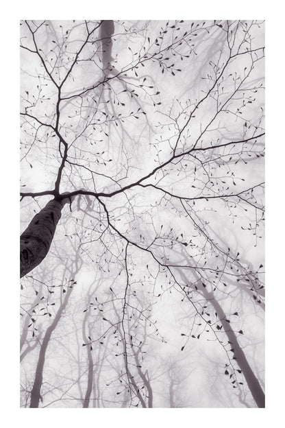variant-60x90_with-margin