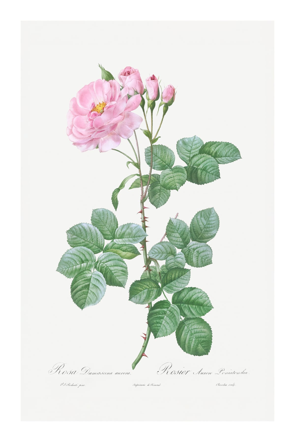 variant-60x90_with-margin