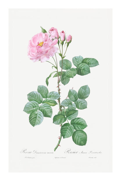 variant-60x90_with-margin
