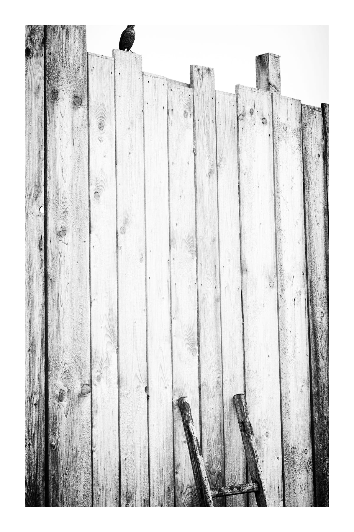 variant-60x90_with-margin
