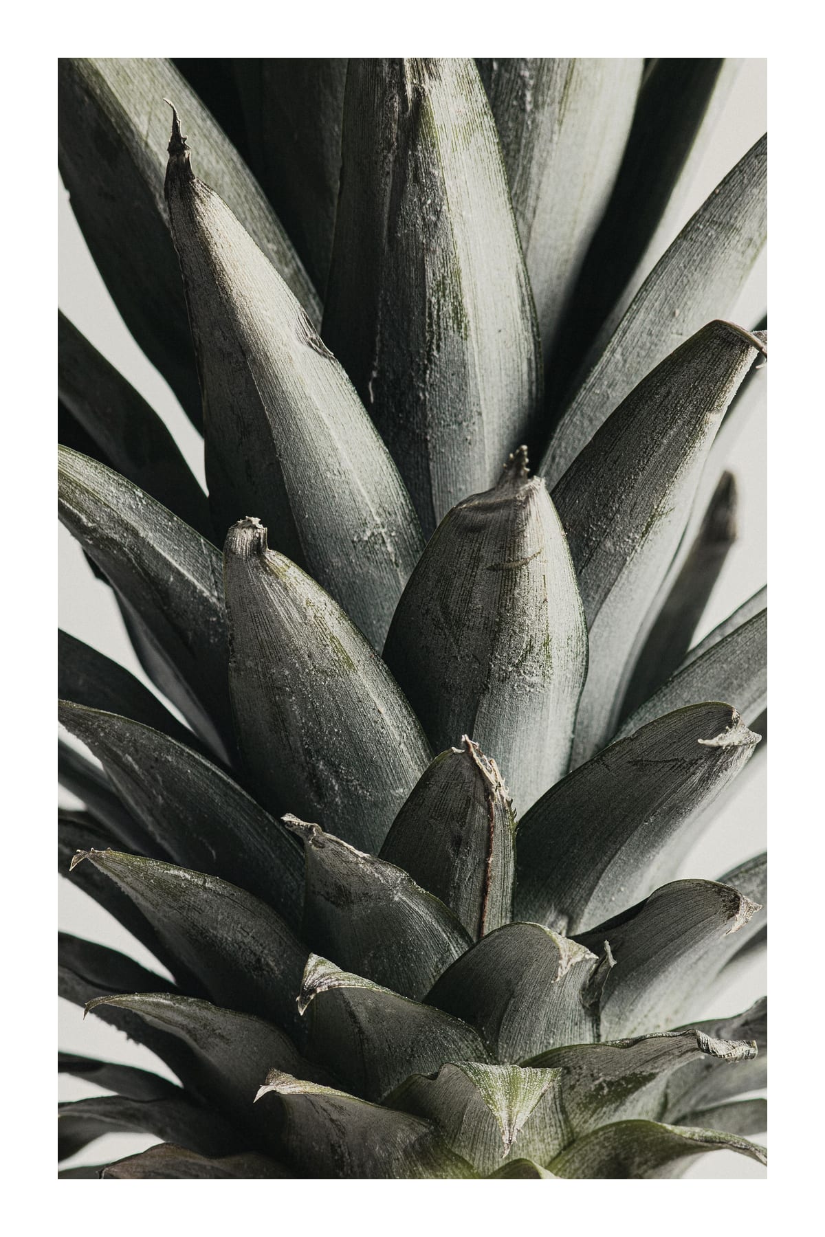 variant-60x90_with-margin