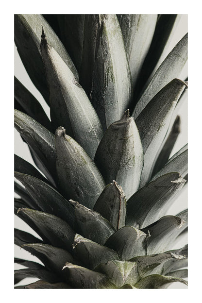 variant-60x90_with-margin