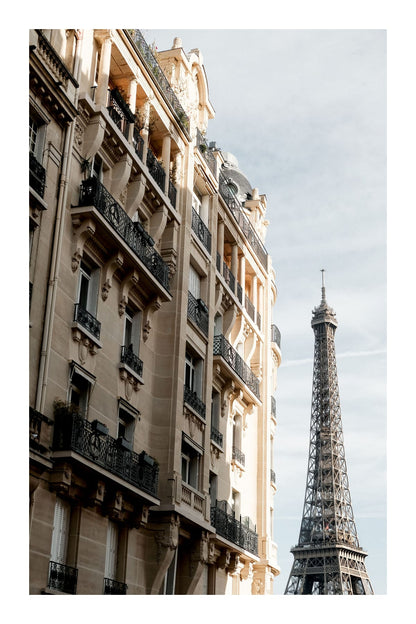 variant-60x90_with-margin