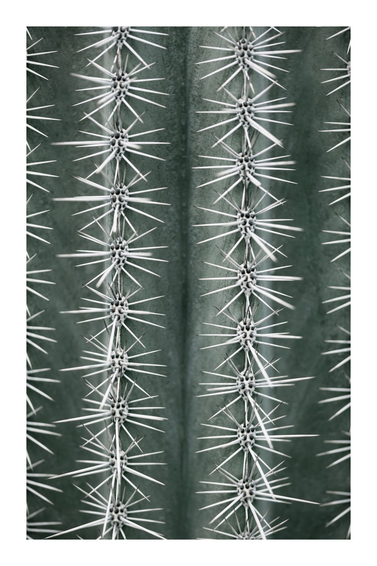 variant-60x90_with-margin