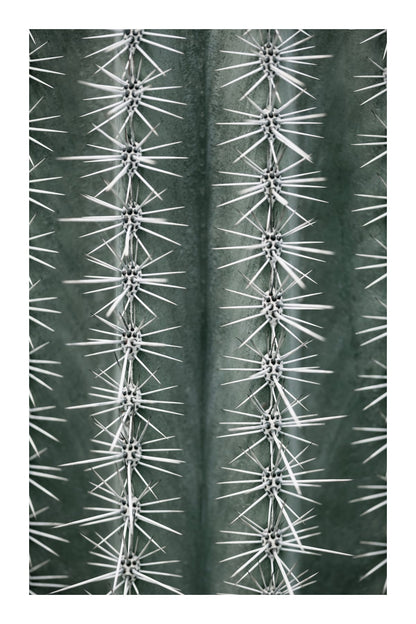 variant-60x90_with-margin