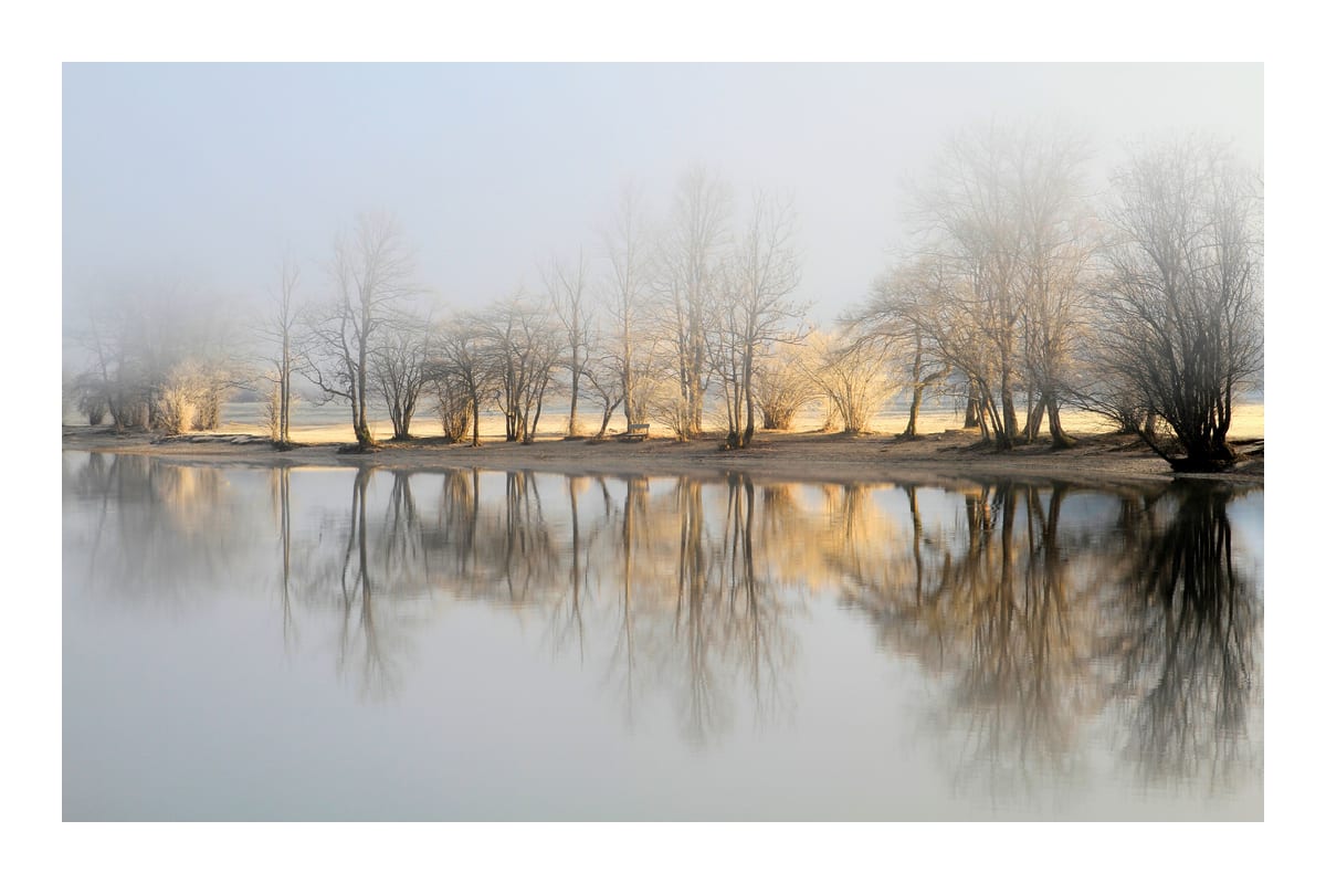 variant-60x90_with-margin