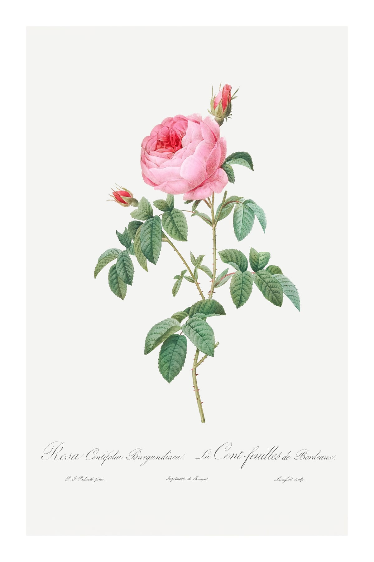 variant-60x90_with-margin