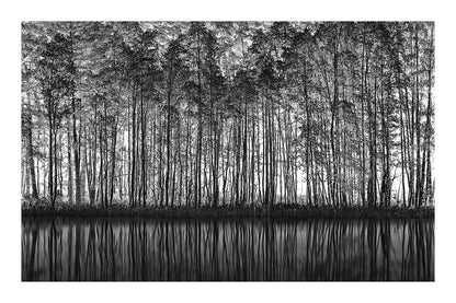 variant-60x90_with-margin