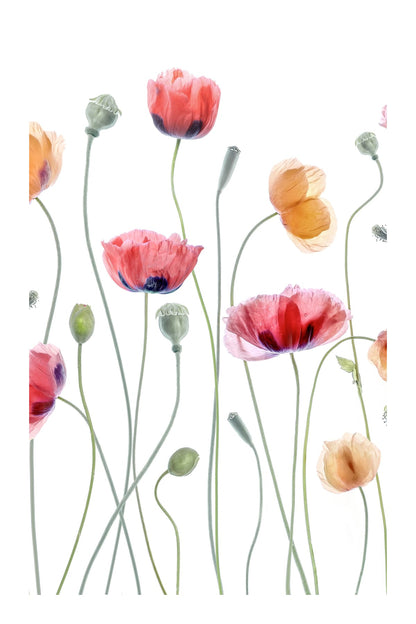 variant-60x90_with-margin