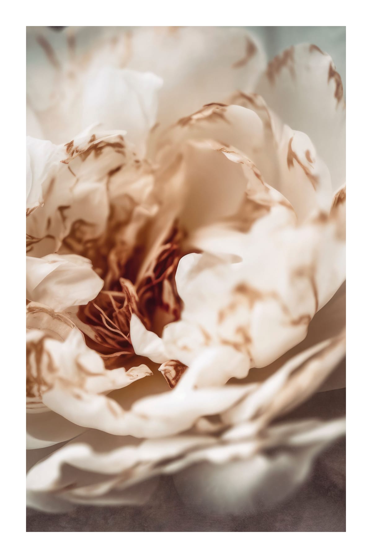 variant-60x90_with-margin