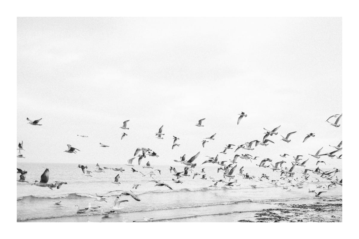 variant-60x90_with-margin