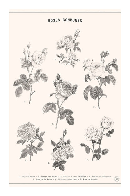 variant-60x90_with-margin