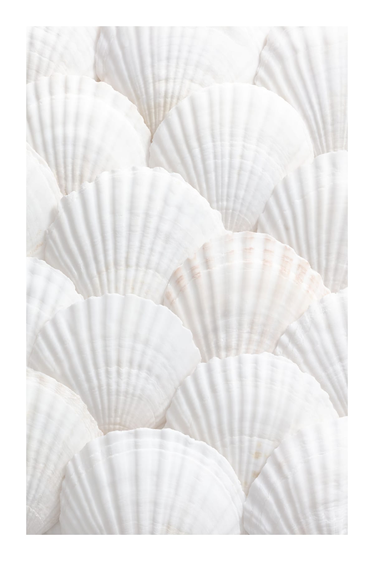 variant-60x90_with-margin