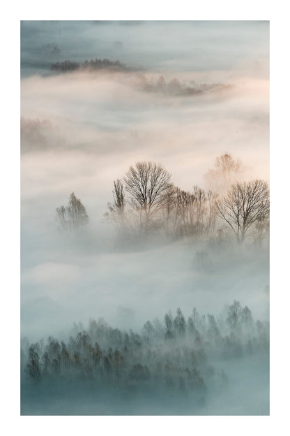 variant-60x90_with-margin