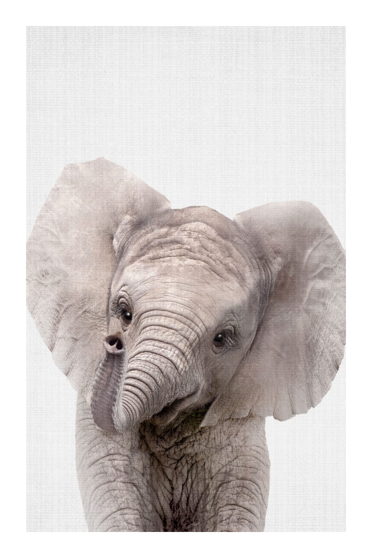 variant-60x90_with-margin