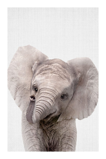 variant-60x90_with-margin