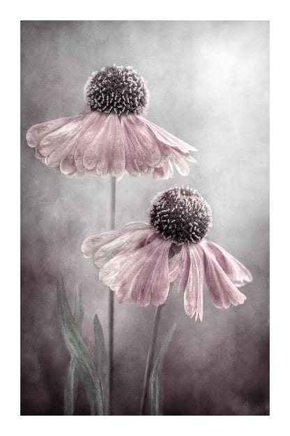 variant-60x90_with-margin