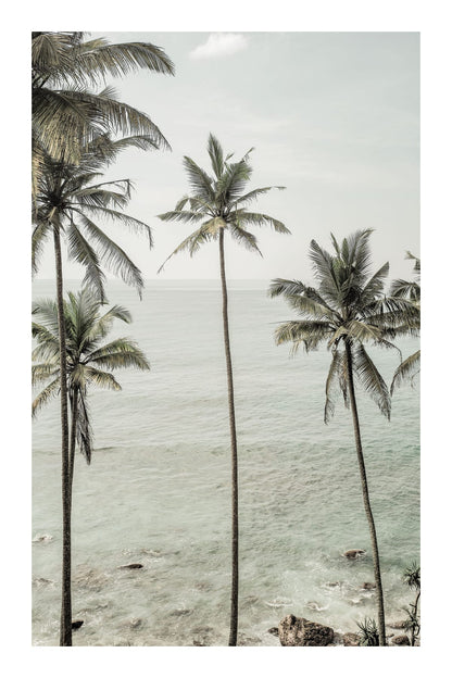 variant-60x90_with-margin