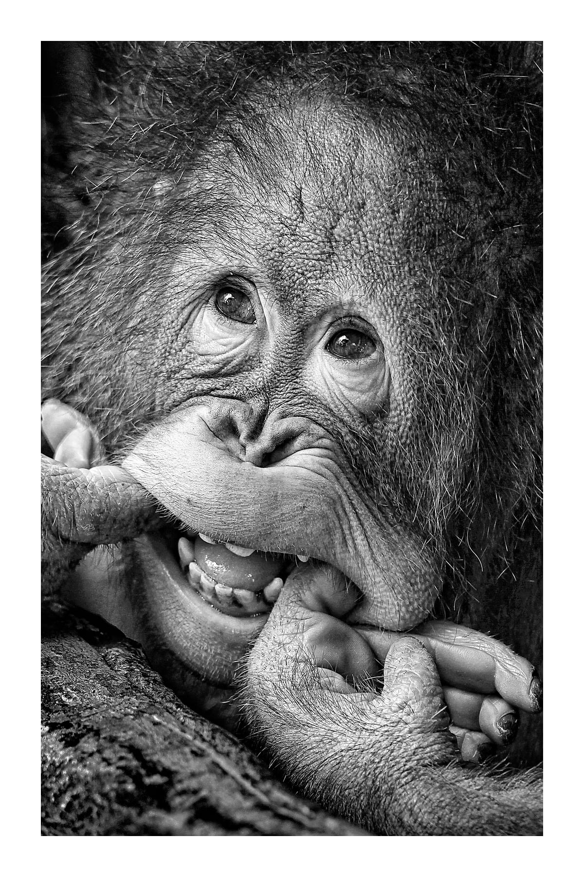 variant-60x90_with-margin