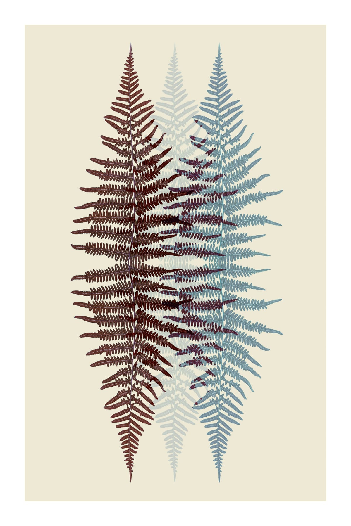 variant-60x90_with-margin