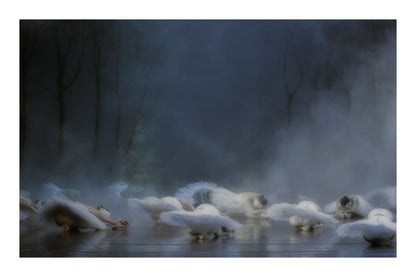 variant-60x90_with-margin
