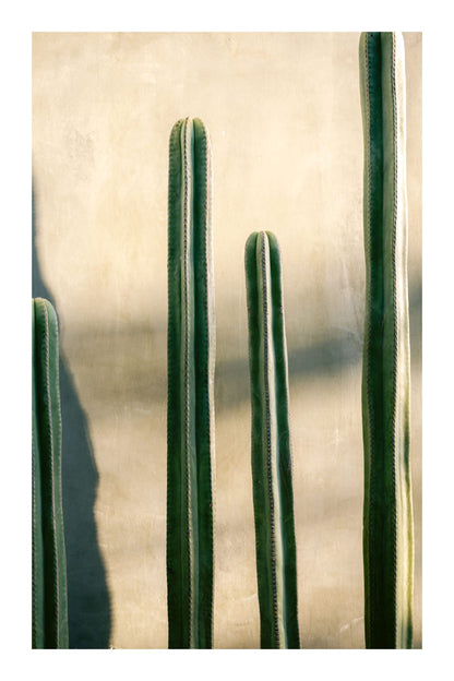 variant-60x90_with-margin