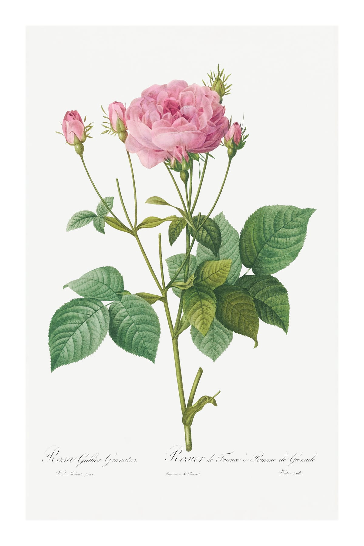 variant-60x90_with-margin