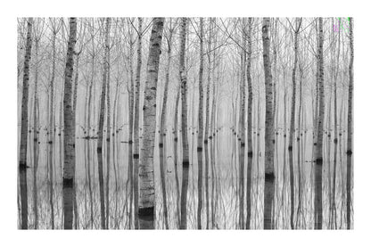 variant-60x90_with-margin