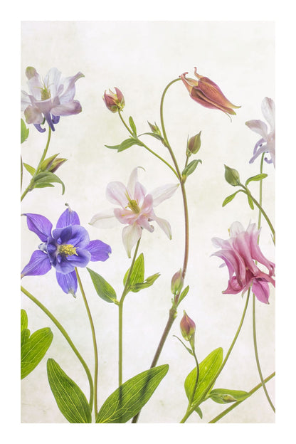 variant-60x90_with-margin