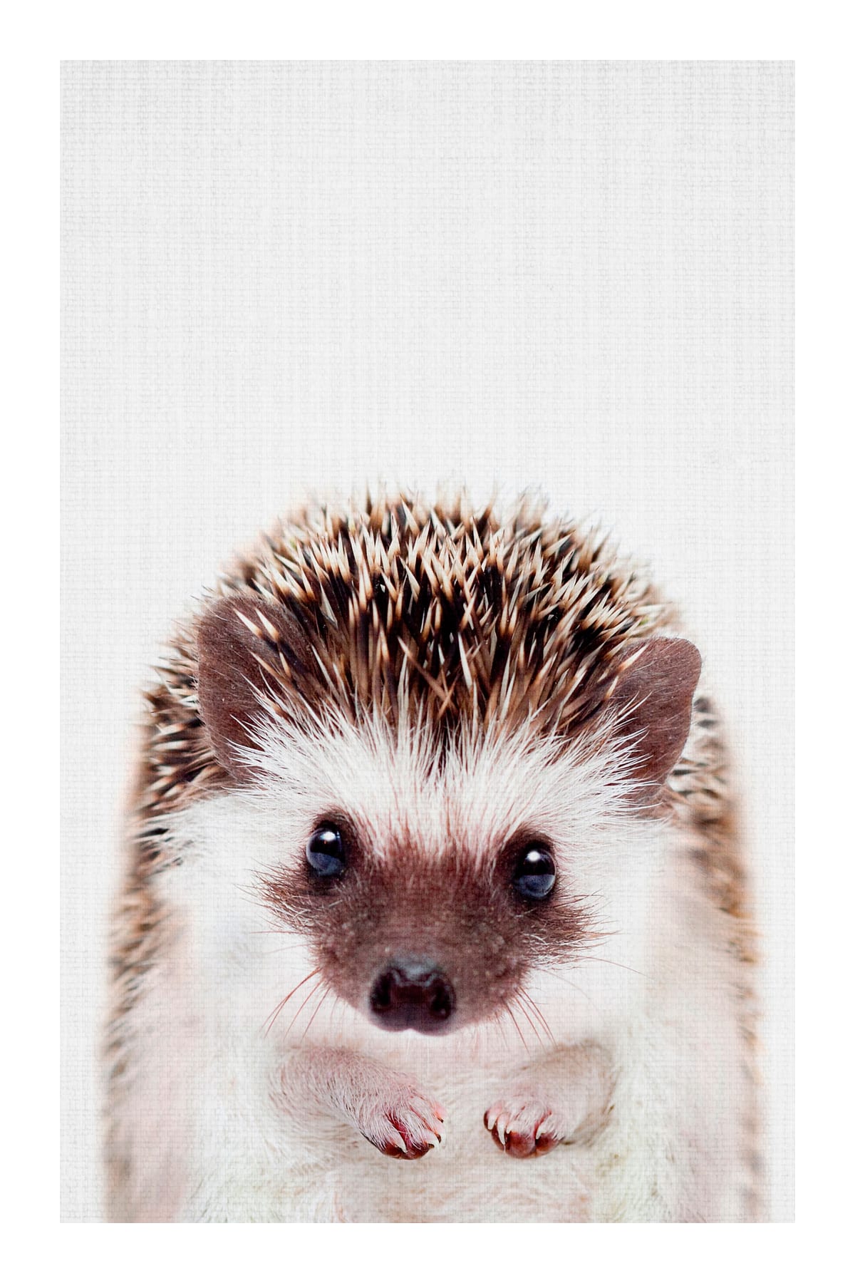 variant-60x90_with-margin