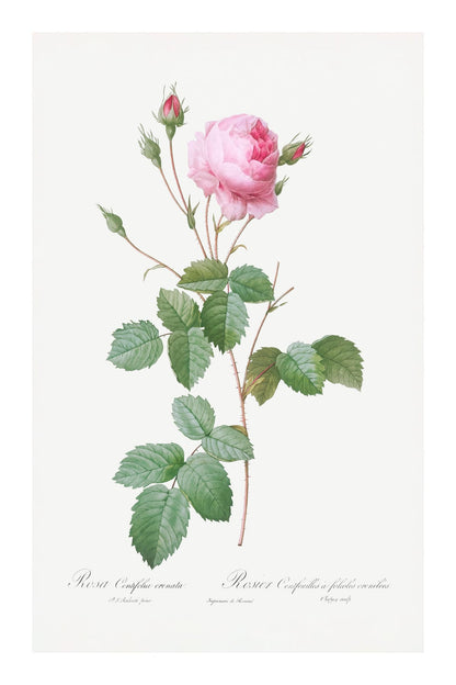 variant-60x90_with-margin