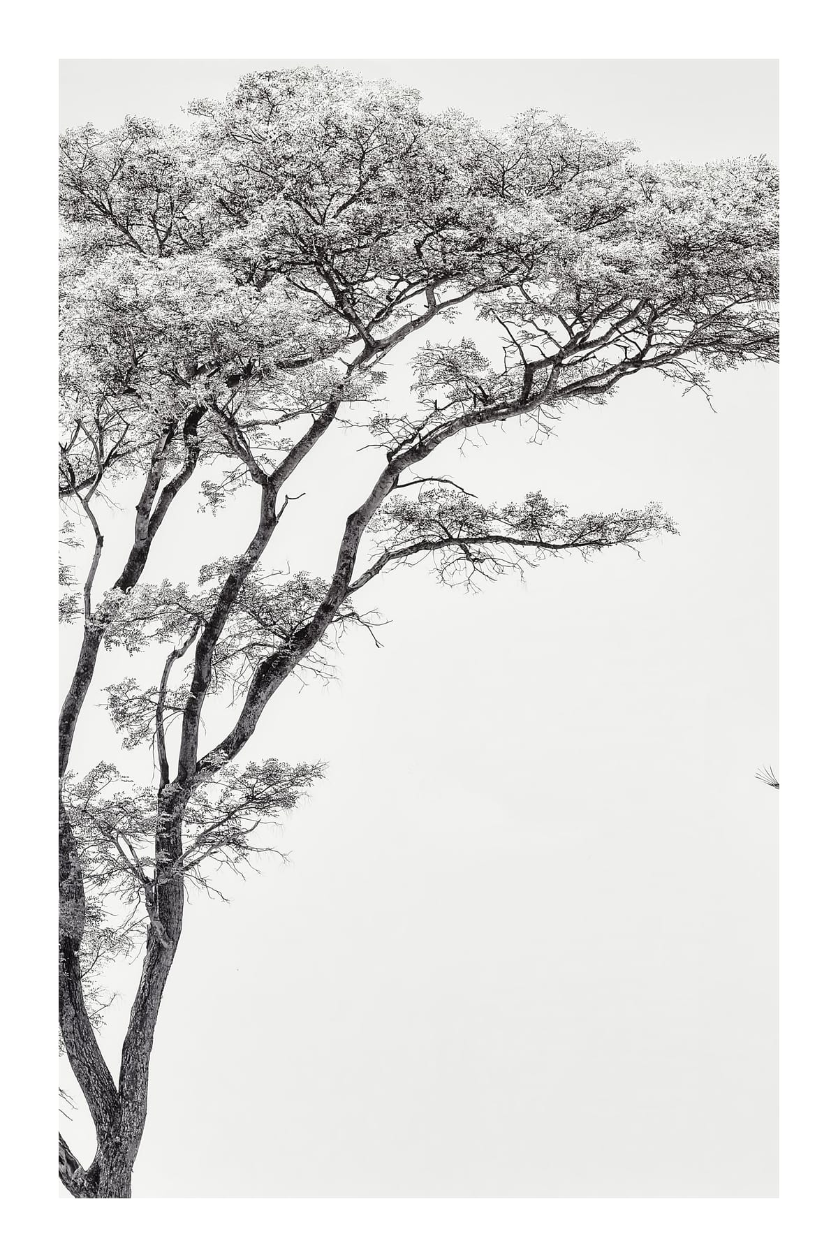 variant-60x90_with-margin