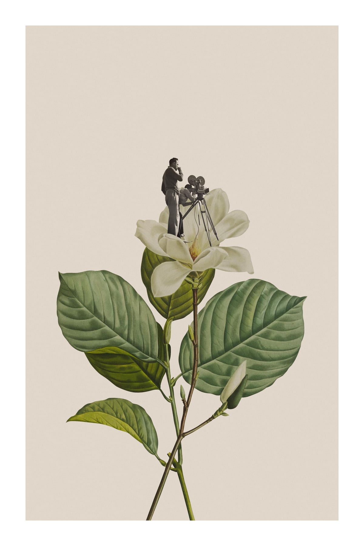 variant-60x90_with-margin