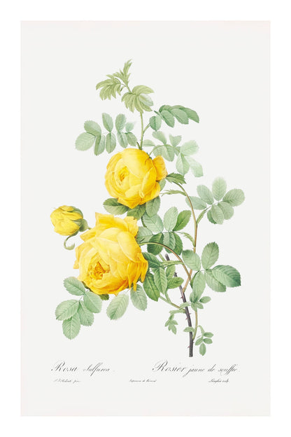 variant-60x90_with-margin