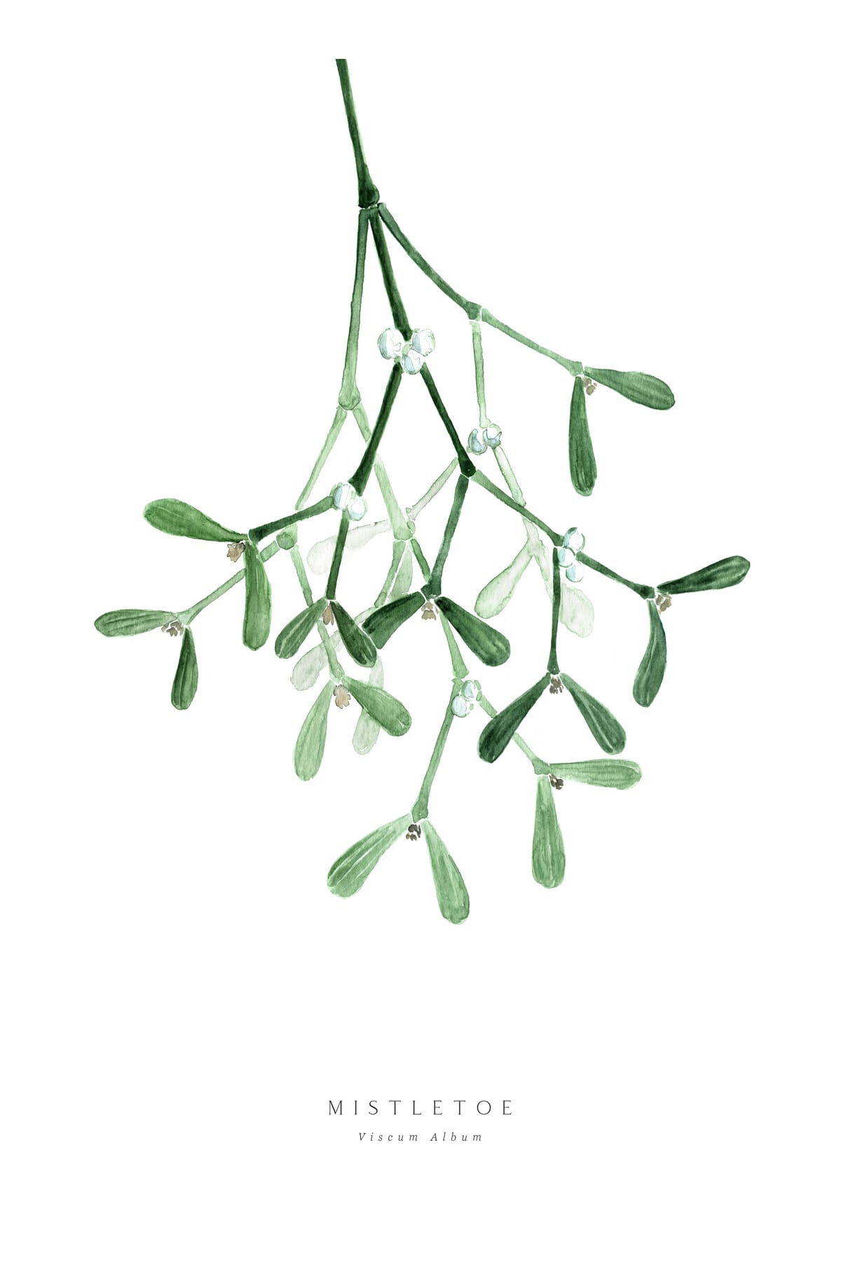 variant-60x90_with-margin