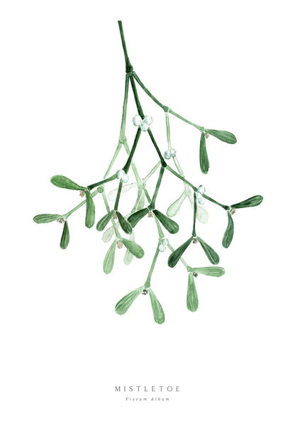 variant-60x90_with-margin