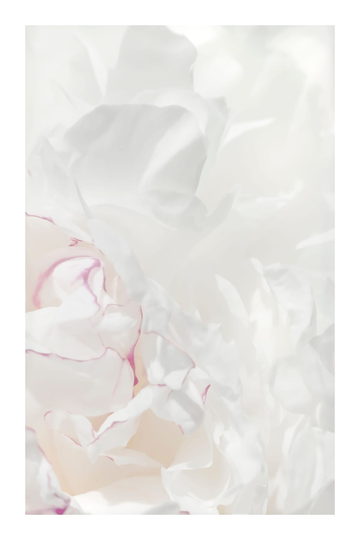 variant-60x90_with-margin