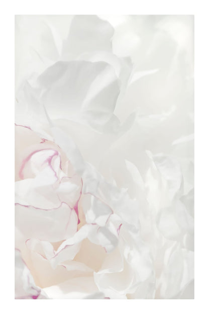 variant-60x90_with-margin