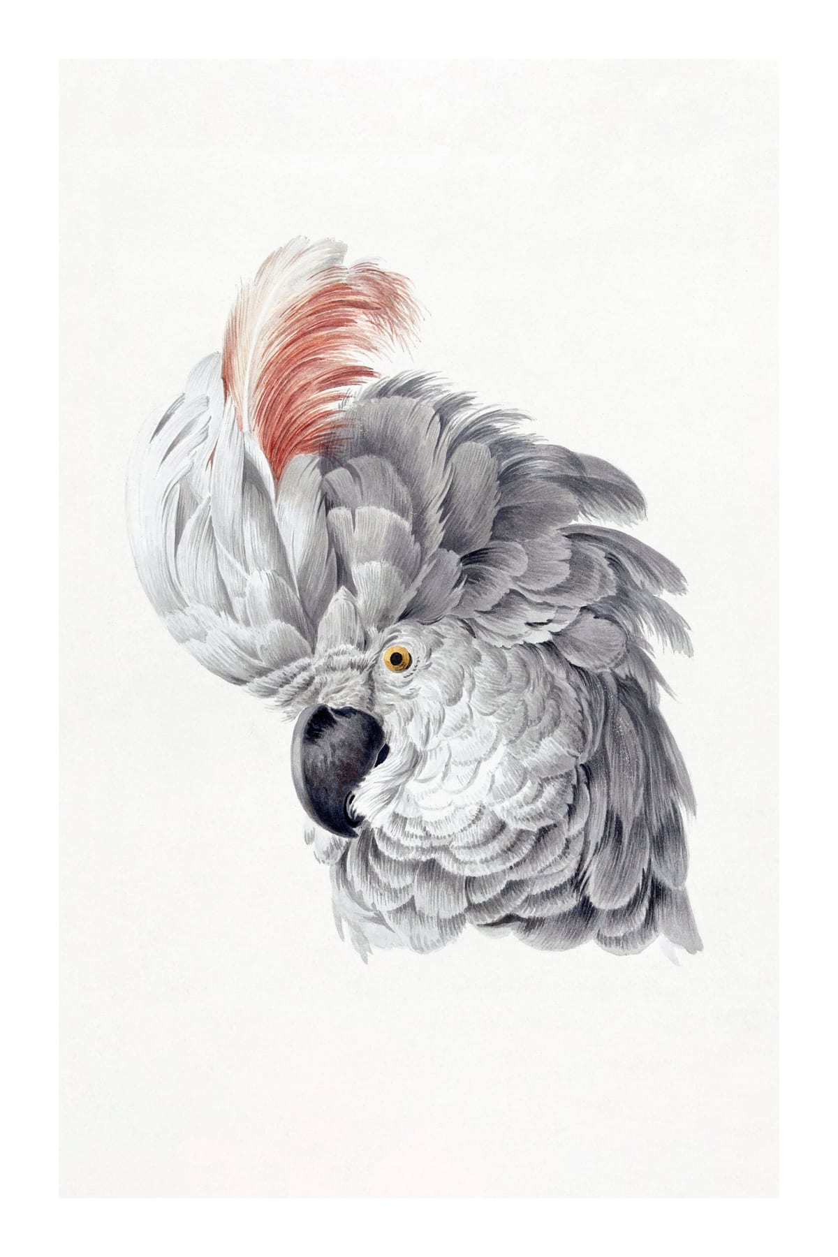variant-60x90_with-margin