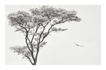 variant-60x90_with-margin