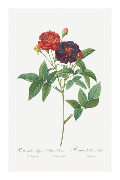variant-60x90_with-margin