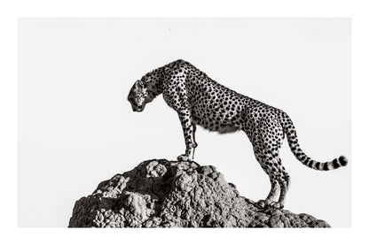 variant-60x90_with-margin